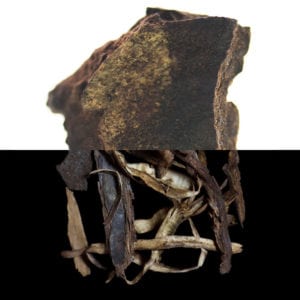 Storax bark, an olfactory ingredient used by the Society of Scent