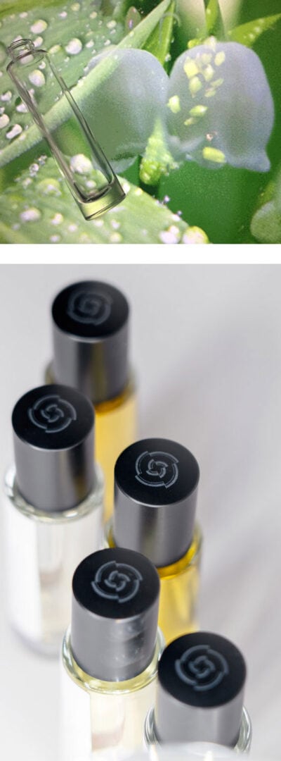 How Perfume Is Made? Discover the perfume creation process