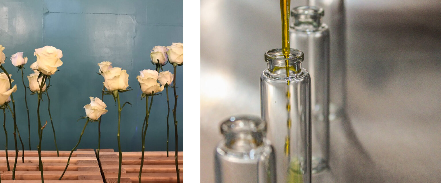 Perfume making, perfume culture and other education contents